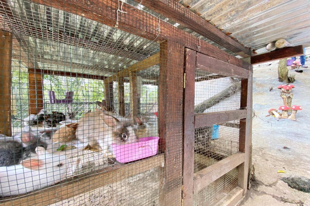 Spot On 90279 Kinomulok Garden Ξενοδοχείο Ranau Εξωτερικό φωτογραφία